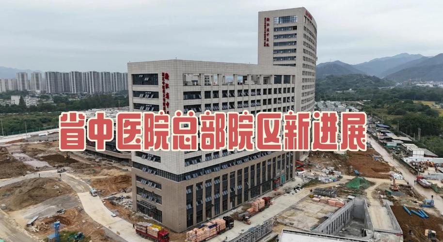 区域建站新视野 富阳与温州网站建设服务的权威观点对比