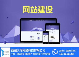 拉萨网络推广新引擎 天泽网络微信程序开发与网站建设助力商家腾飞