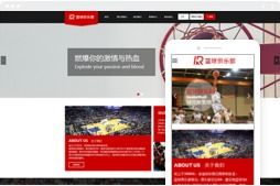 桂林数字化发展的双轮引擎 解读桂林亿星网络科技公司的服务价值